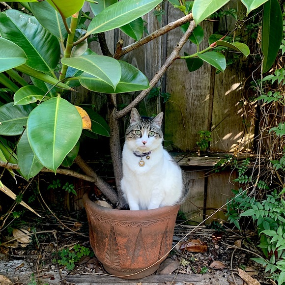 Meet your Posher, M. - Picture 1 of 1